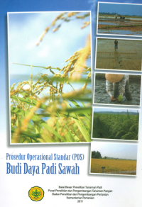 Image of Prosedur Operasional Standar (POS) Budi Daya Padi Sawah